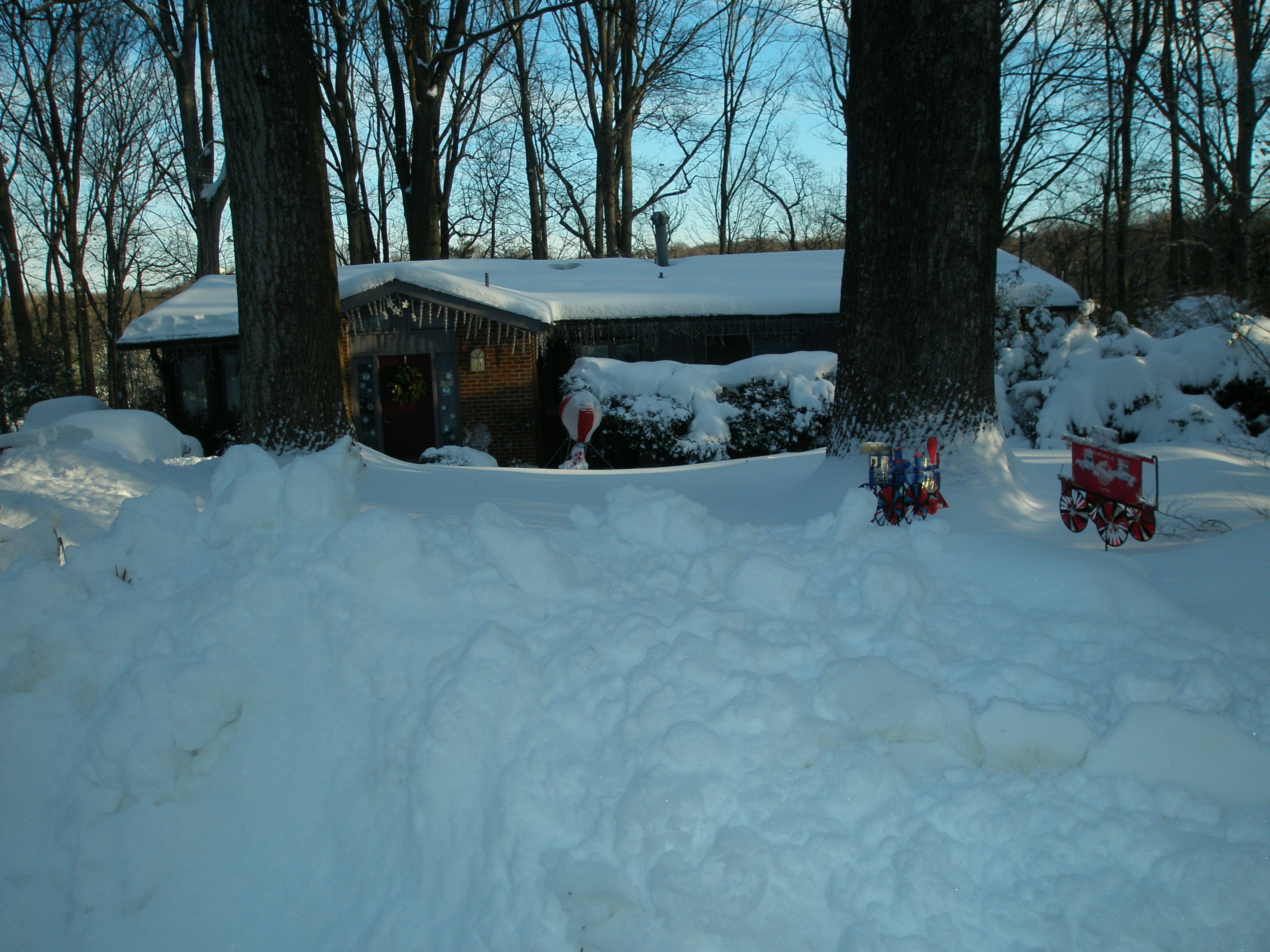 Blizzard of 2009 002
